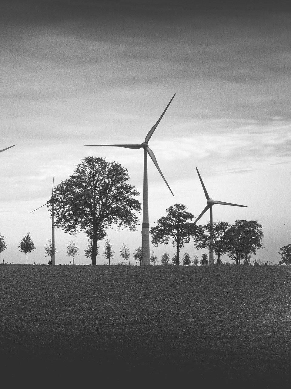 Three wind turbines on a field 